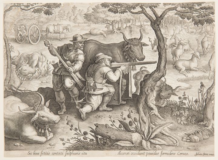 Two hunters stalk deer from behind a decoy in the guise of a bull. 